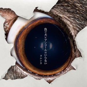 少萝裸体🔞🔞🔞黑料
